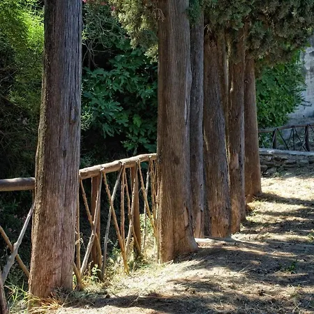 Penzion The House Of Nea Styra