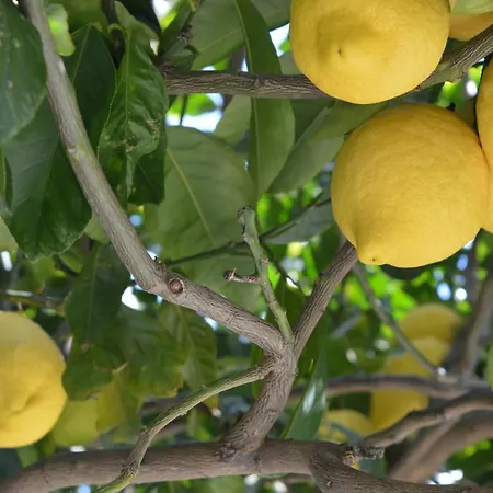 The House Of Penzion 4*